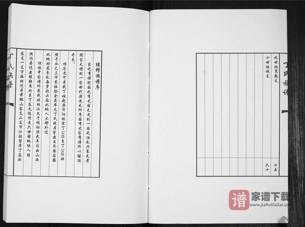 图片[2]-山东聊城丁氏族谱PDF高清电子版下载-家谱下载