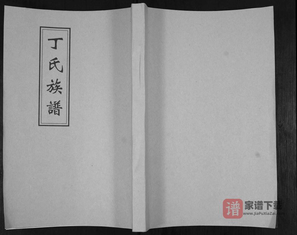 图片[1]-山东青岛即墨区丁氏族谱PDF高清电子版下载-家谱下载