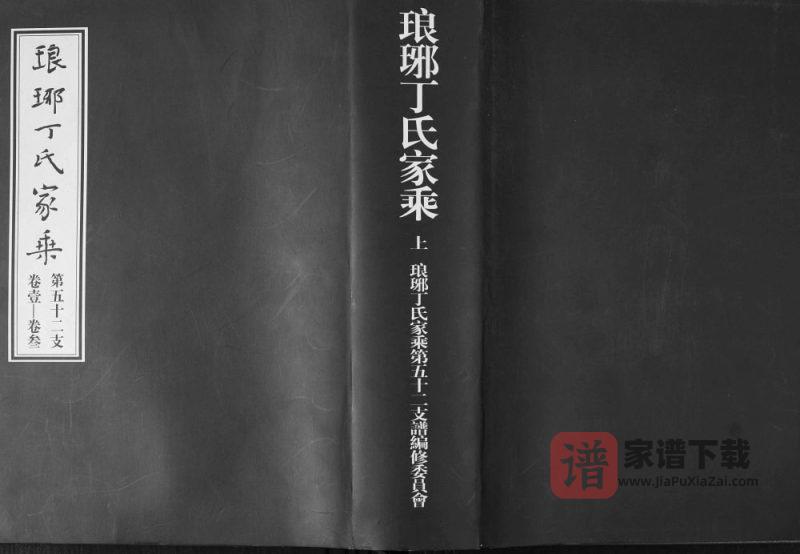 山东诸城琅琊丁氏家乘第五十二支PDF高清电子版下载-家谱下载