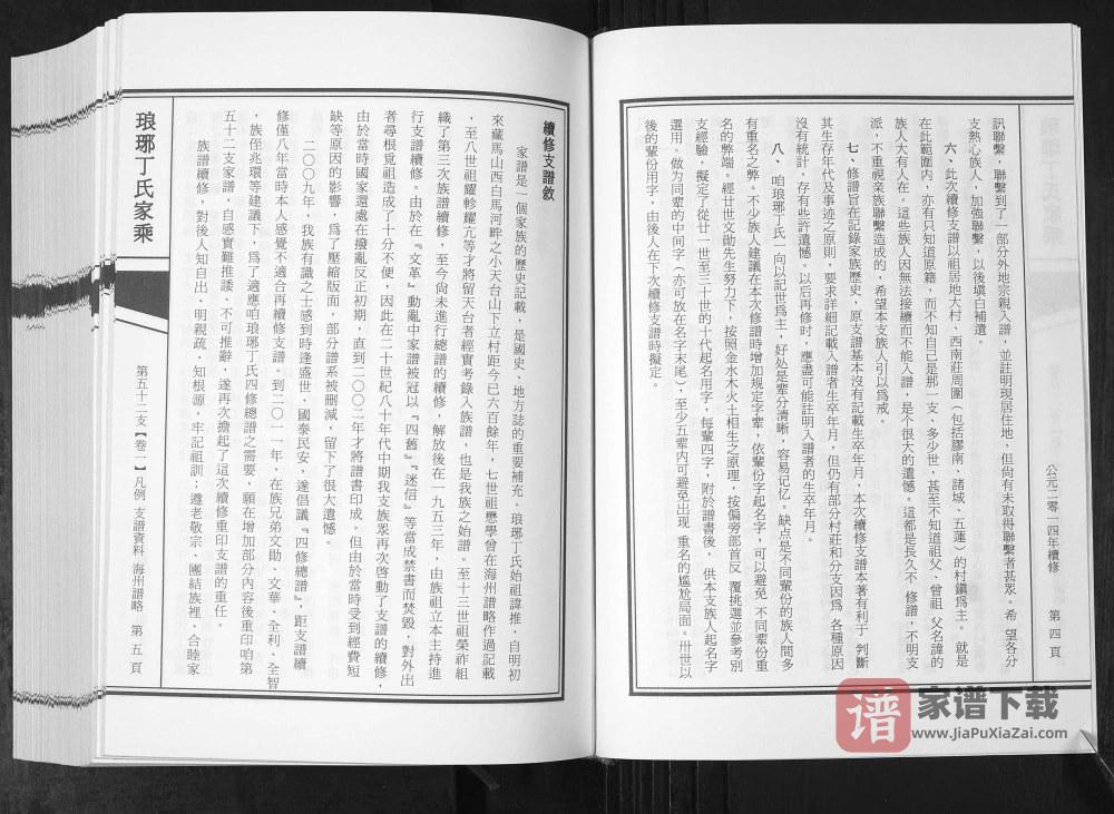 图片[2]-山东诸城琅琊丁氏家乘第五十二支PDF高清电子版下载-家谱下载