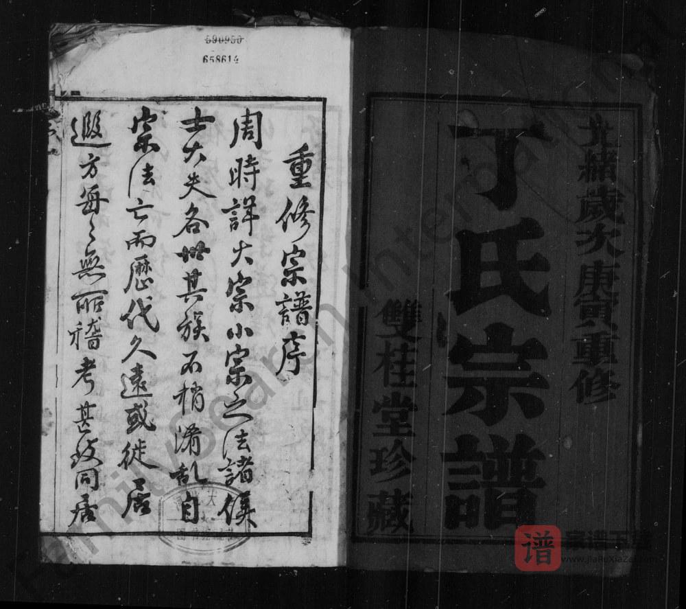 图片[1]-江苏无锡陈墅丁氏家乘（双桂堂）PDF高清电子版下载-家谱下载