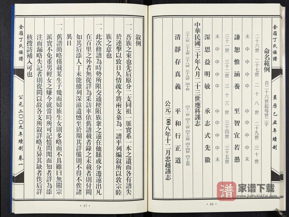 图片[1]-山东淄博临淄区金岭丁氏族谱PDF高清电子版下载-家谱下载