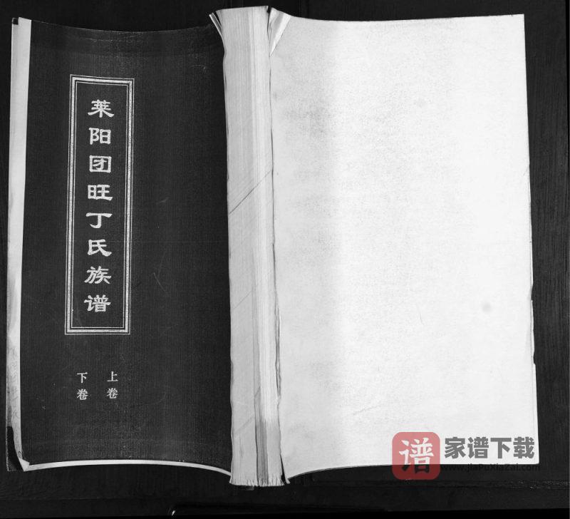 山东莱阳团旺丁氏族谱PDF高清电子版下载-家谱下载