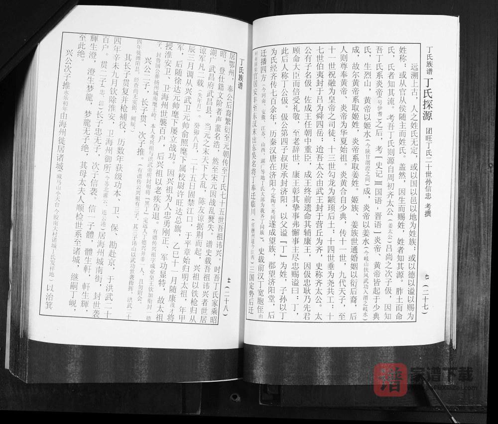 图片[2]-山东莱阳团旺丁氏族谱PDF高清电子版下载-家谱下载