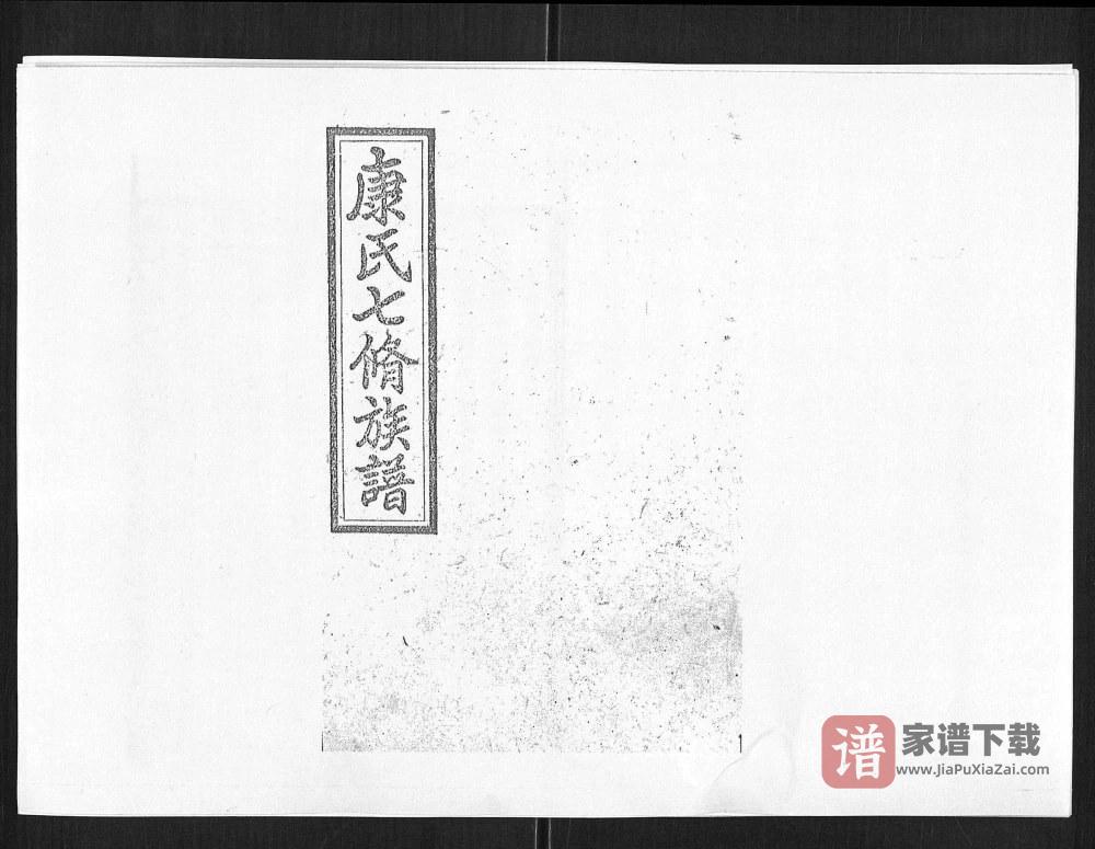 湖南娄底新化县康氏七修族谱PDF高清电子版下载