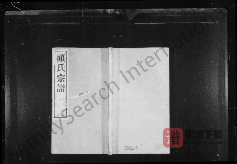 江苏江阴黄桥顾氏宗谱(怀远堂)PDF高清电子版下载-家谱下载