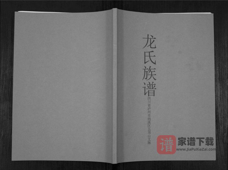 四川泸州纳溪区五顶山支脉龙氏族谱PDF高清电子版下载-家谱下载