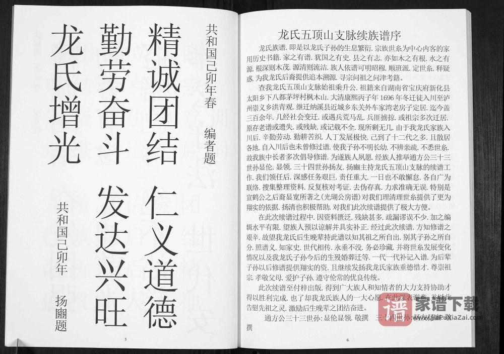 图片[2]-四川泸州纳溪区五顶山支脉龙氏族谱PDF高清电子版下载-家谱下载