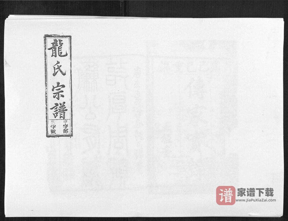 图片[1]-安徽安庆望江县雷川龙氏宗谱（五经台）PDF高清电子版下载-家谱下载