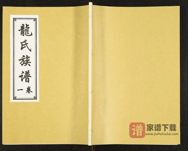山东济宁汶上县龙氏族谱PDF高清电子版下载-家谱下载