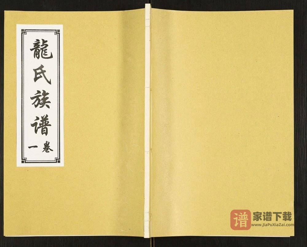 山东济宁汶上县龙氏族谱PDF高清电子版下载