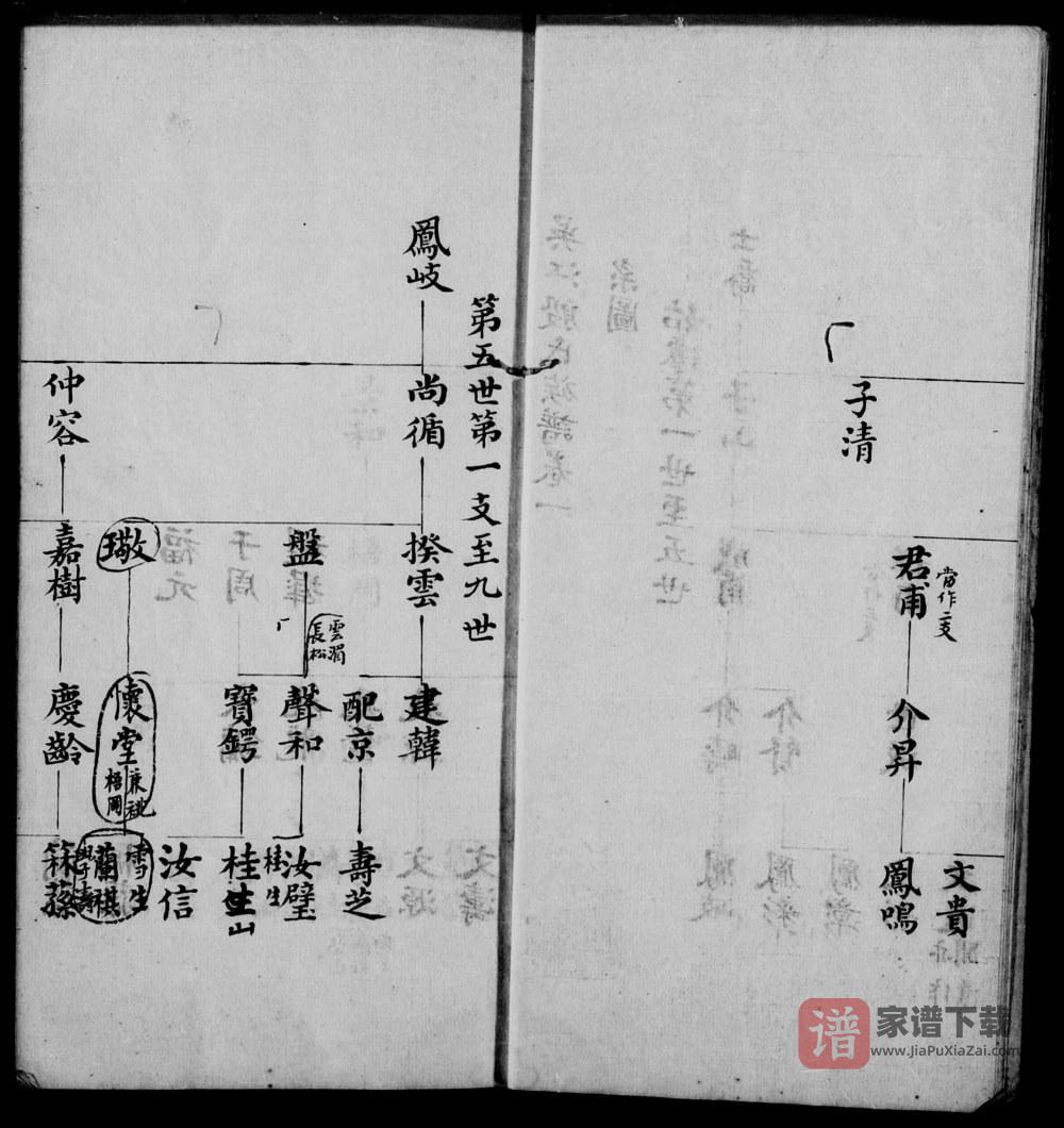 图片[2]-江苏苏州吴江殷氏族谱PDF高清电子版下载-家谱下载