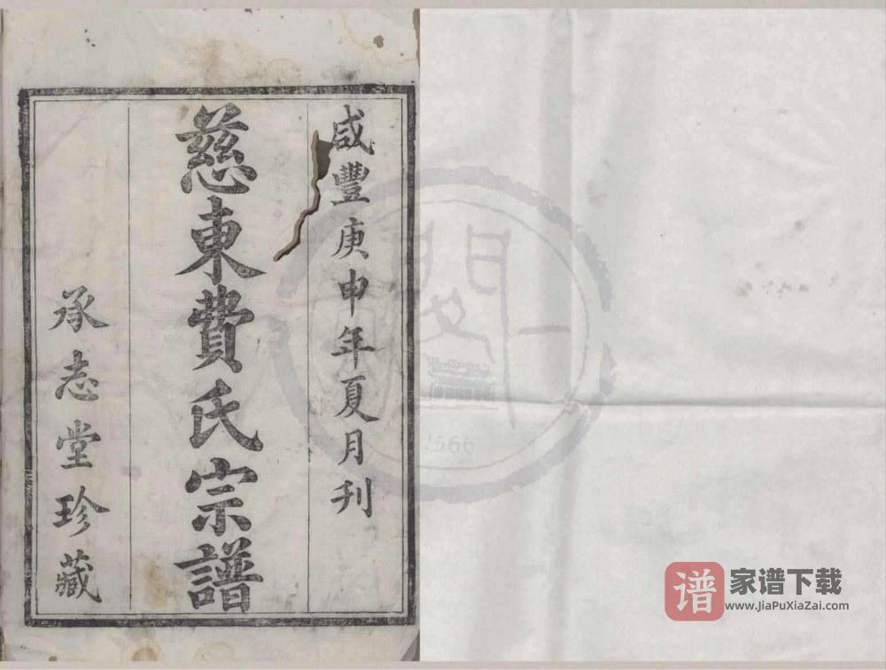 图片[1]-浙江宁波慈东费氏宗谱（承志堂）PDF高清电子版下载-家谱下载