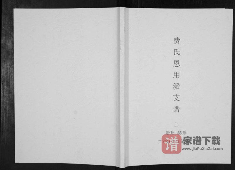 贵州毕节赫章县费氏恩用派支谱PDF高清电子版下载-家谱下载