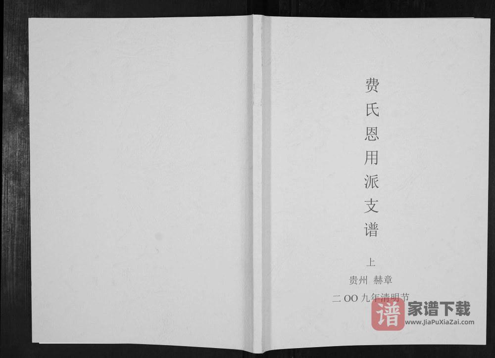 图片[1]-贵州毕节赫章县费氏恩用派支谱PDF高清电子版下载-家谱下载