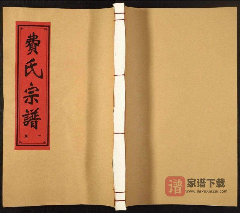 安徽合肥肥东县费氏宗谱(德懋堂)PDF高清电子版下载-家谱下载