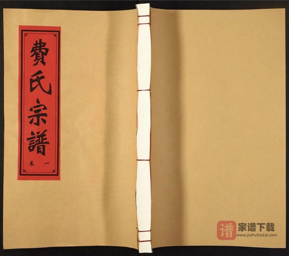图片[1]-安徽合肥肥东县费氏宗谱（德懋堂）PDF高清电子版下载-家谱下载