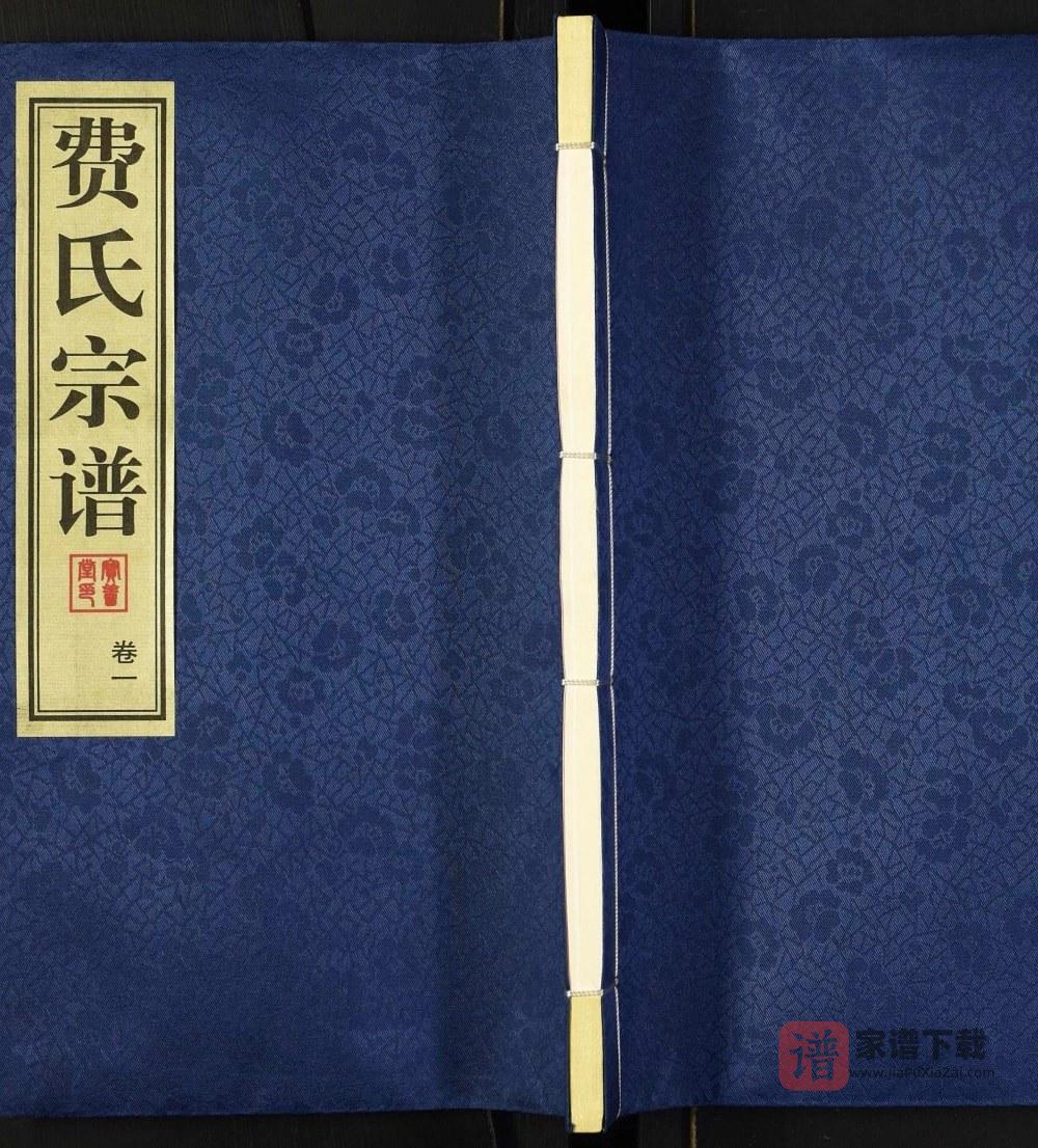 图片[1]-江苏常州费氏宗谱（宝善堂）PDF高清电子版下载-家谱下载