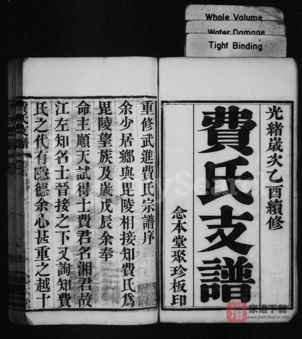 图片[2]-江苏常州武进费氏支谱（念本堂）PDF高清电子版下载-家谱下载