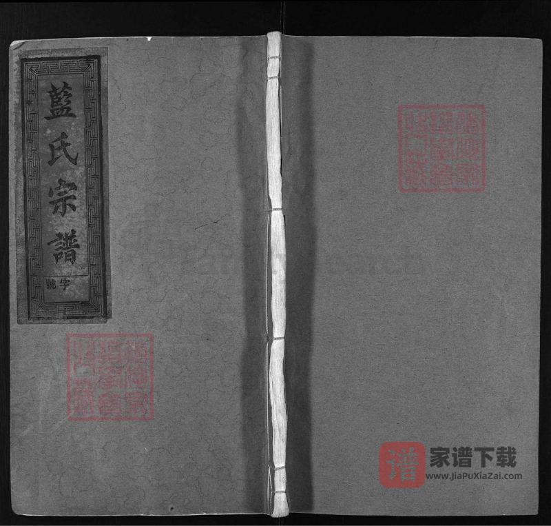 浙江丽水蓝氏宗谱(树德堂、种玉堂)PDF高清电子版下载-家谱下载