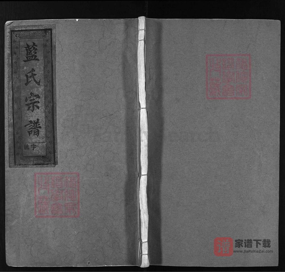 浙江丽水蓝氏宗谱（树德堂、种玉堂）PDF高清电子版下载