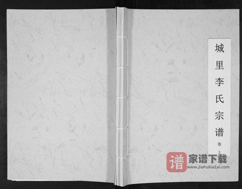 河北邯郸涉县城里李氏宗谱PDF高清电子版下载-家谱下载