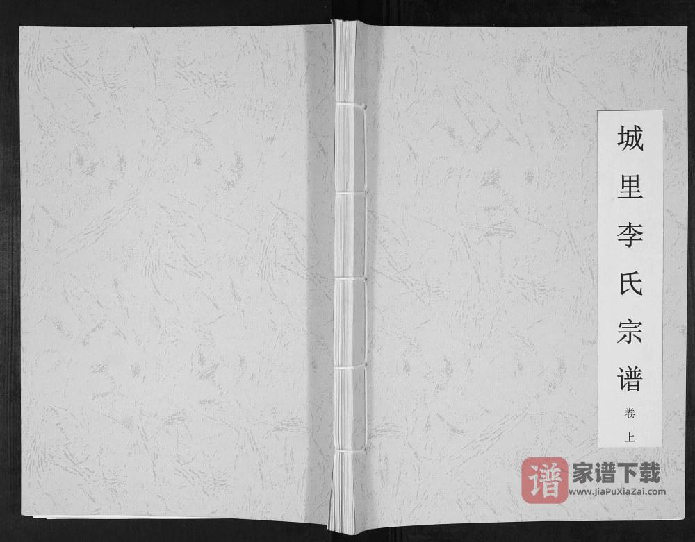 图片[1]-河北邯郸涉县城里李氏宗谱PDF高清电子版下载-家谱下载