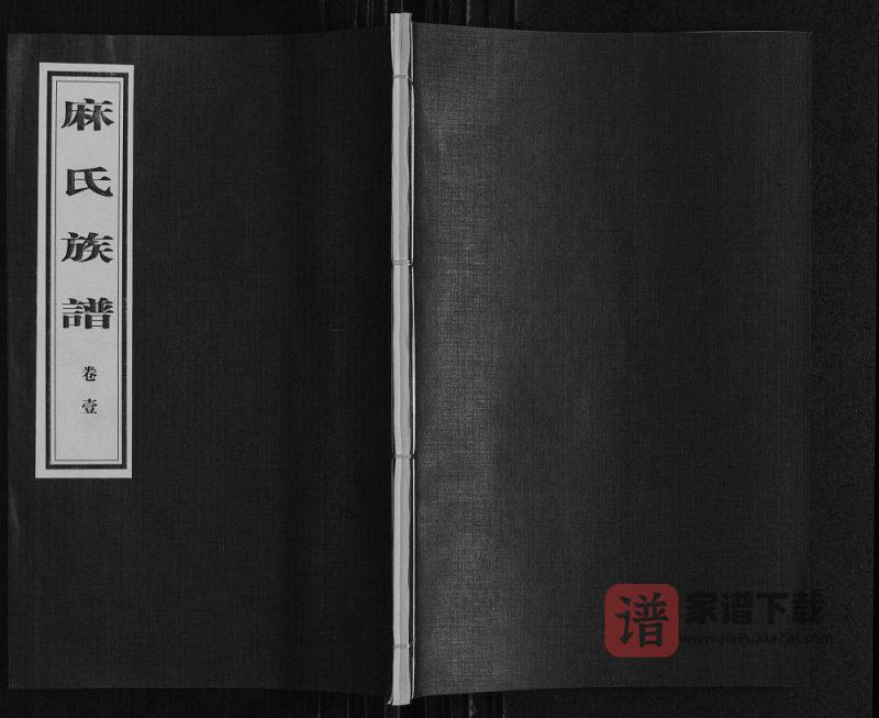 山东临沂沂南县麻氏族谱PDF高清电子版下载-家谱下载