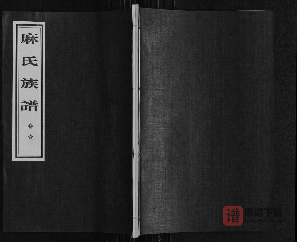 图片[1]-山东临沂沂南县麻氏族谱PDF高清电子版下载-家谱下载