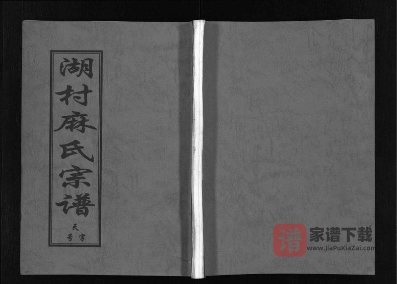 浙江东阳湖村麻氏宗谱PDF高清电子版下载-家谱下载