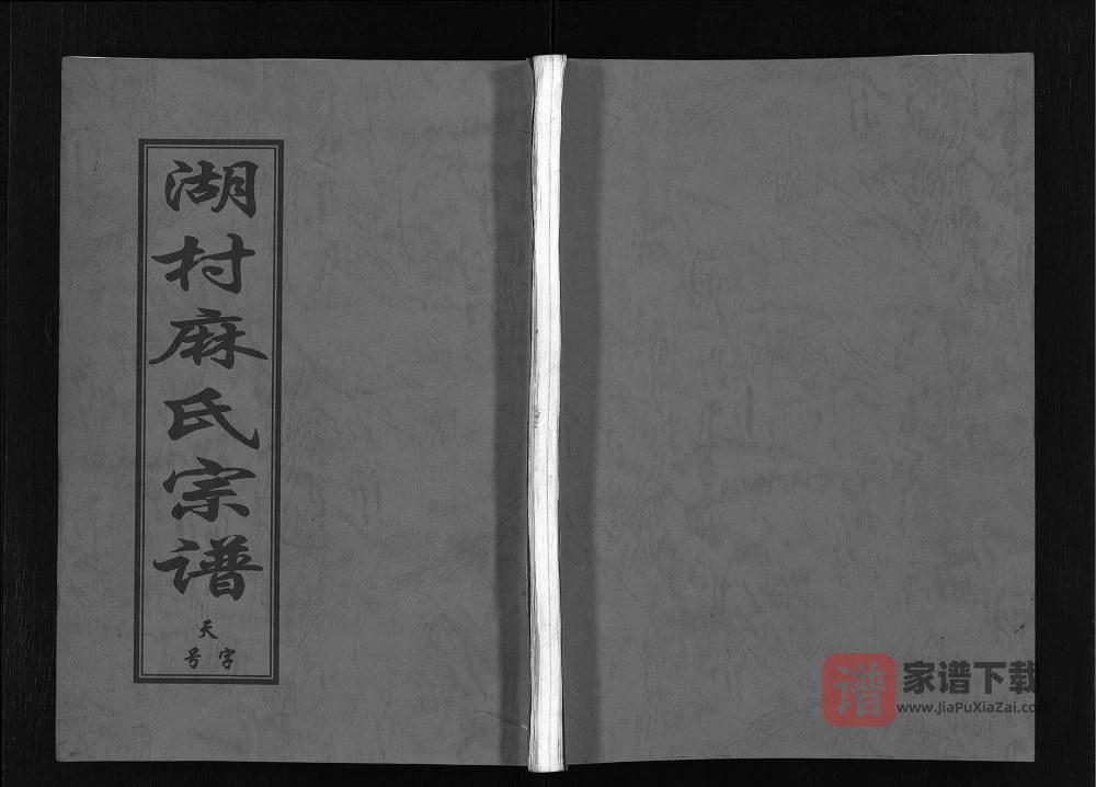 图片[1]-浙江东阳湖村麻氏宗谱PDF高清电子版下载-家谱下载