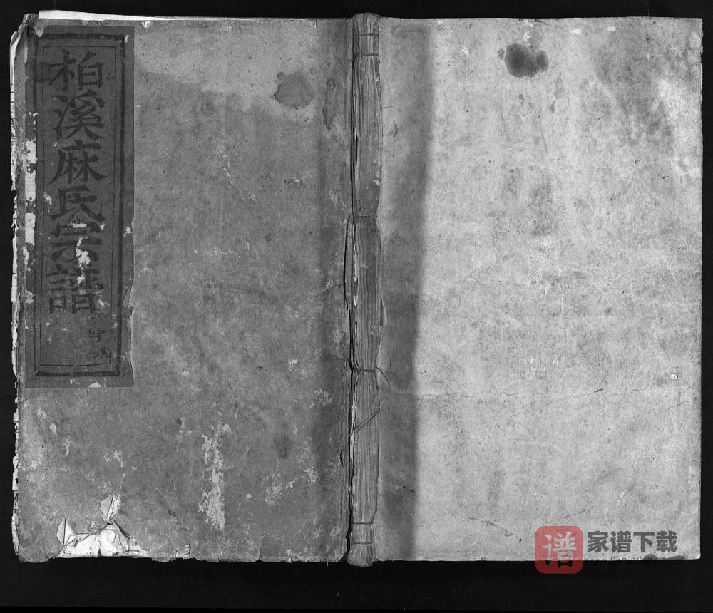 图片[1]-浙江东阳柏溪麻氏宗谱PDF高清电子版下载-家谱下载