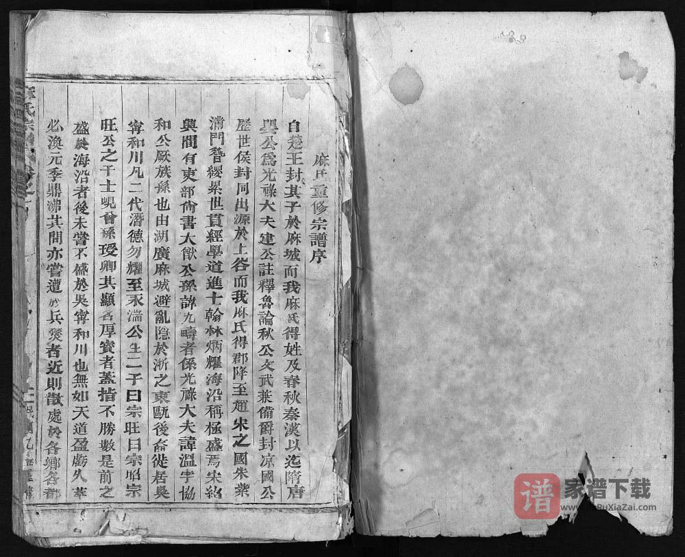 图片[2]-浙江东阳柏溪麻氏宗谱PDF高清电子版下载-家谱下载