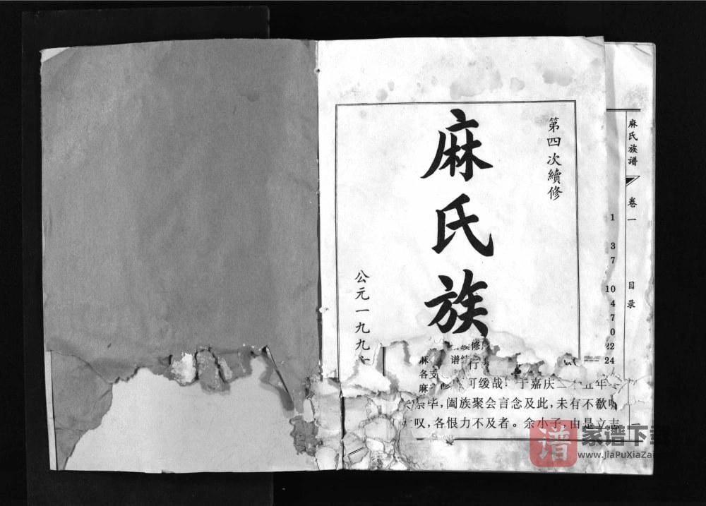图片[1]-山东淄博邹平麻氏族谱PDF高清电子版下载-家谱下载