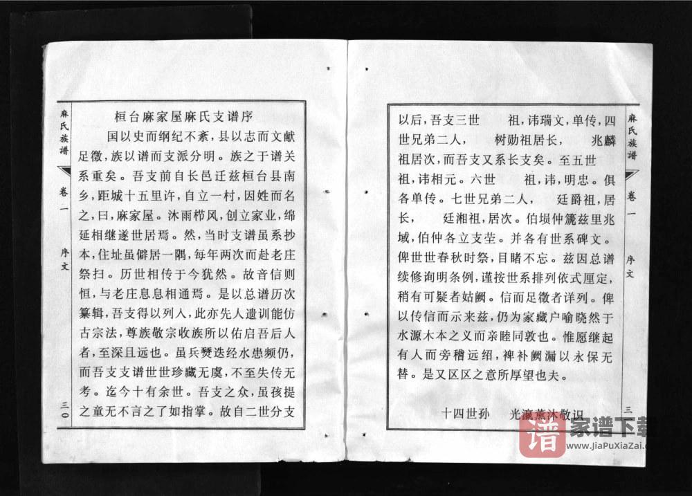 图片[2]-山东淄博邹平麻氏族谱PDF高清电子版下载-家谱下载