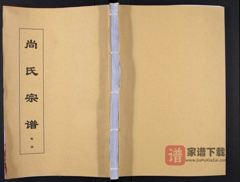 安徽安庆望江县尚氏宗谱（飞熊堂）PDF高清电子版下载-家谱下载