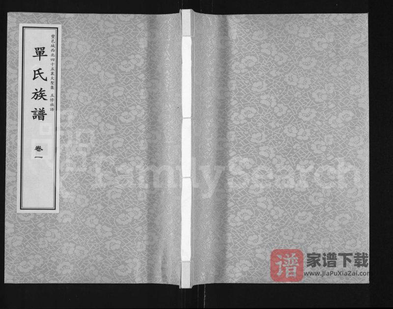 江苏徐州丰县单氏五修族谱（忠孝堂）PDF高清电子版下载-家谱下载
