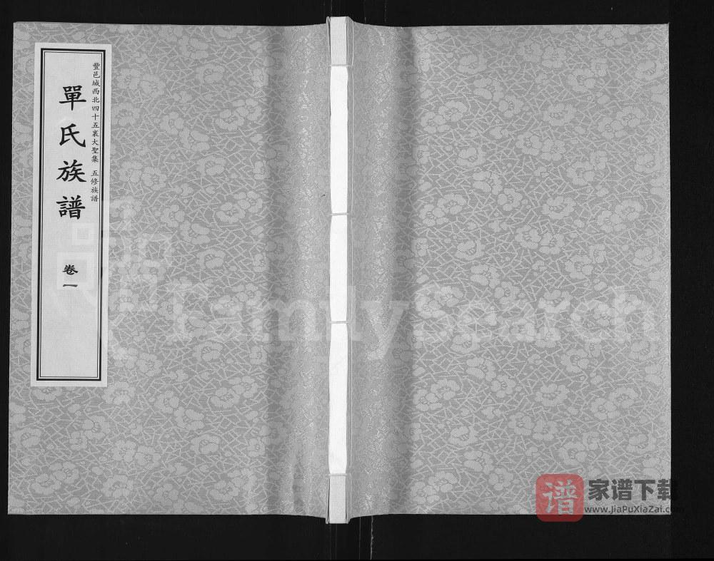 江苏徐州丰县单氏五修族谱（忠孝堂）PDF高清电子版下载