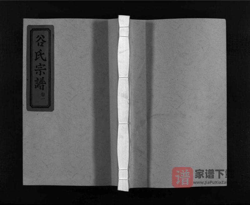 浙江乐清东馆谷氏宗谱PDF高清电子版下载-家谱下载
