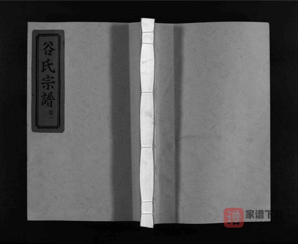 浙江乐清东馆谷氏宗谱PDF高清电子版下载