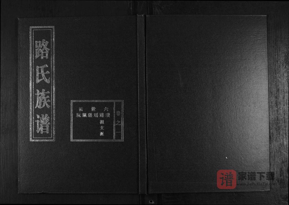 山东淄博临淄区路氏族谱PDF高清电子版下载