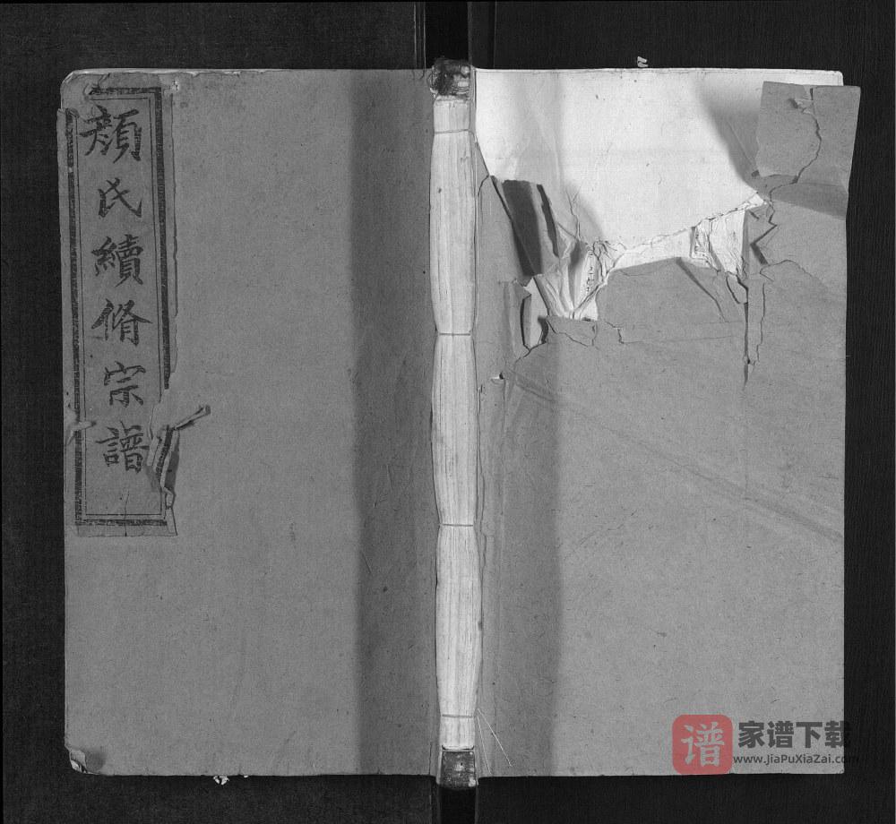 颜氏宗谱（文藻堂）PDF高清电子版下载