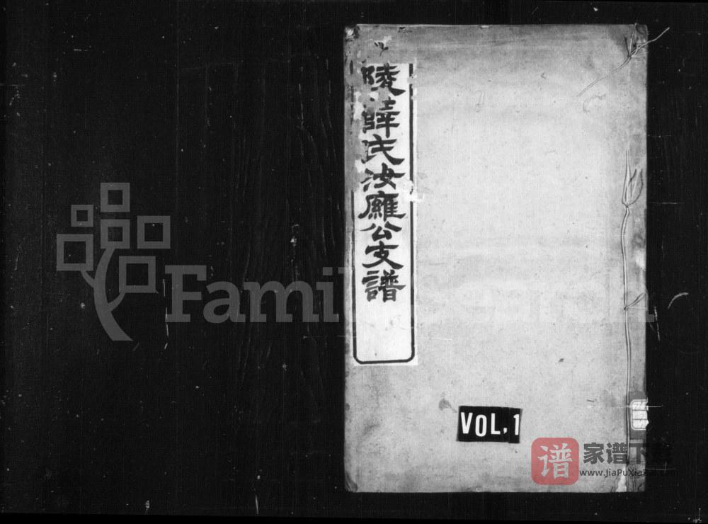 江苏常州薛氏汝雍公支谱PDF高清电子版下载