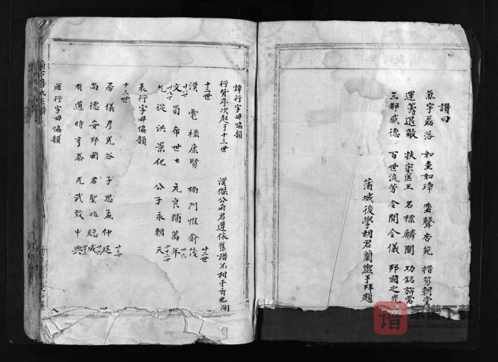 图片[1]-浙江乐清岭下薛氏宗谱PDF高清电子版下载-家谱下载