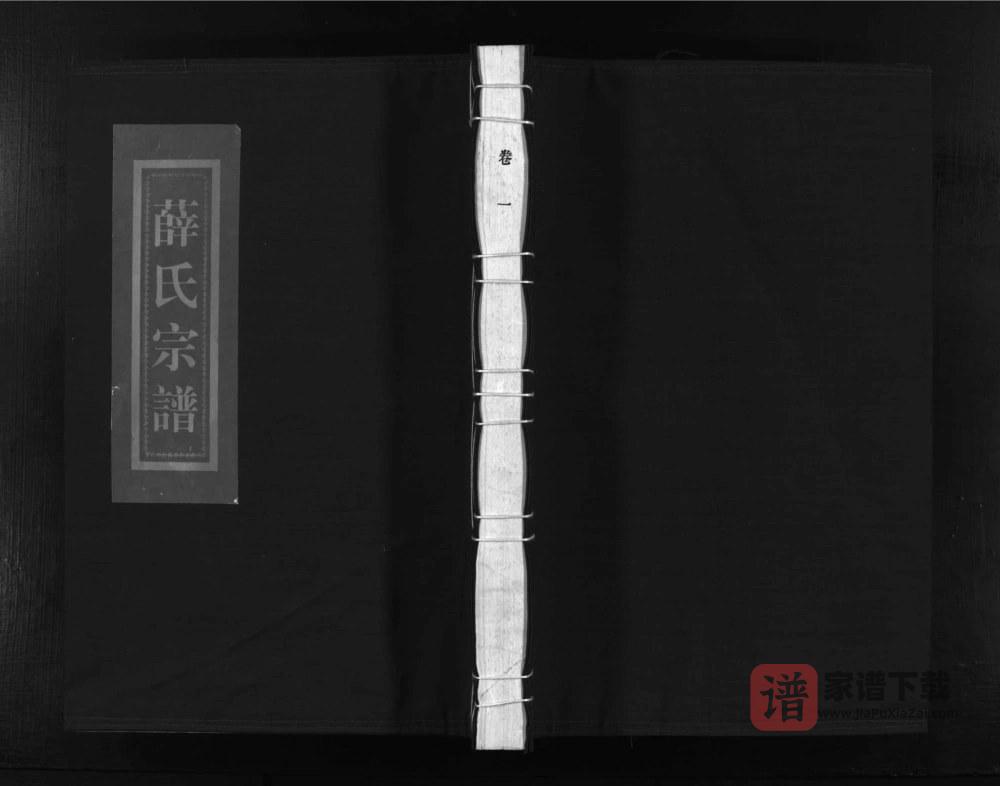 图片[1]-浙江乐清河东薛氏宗谱PDF高清电子版下载-家谱下载