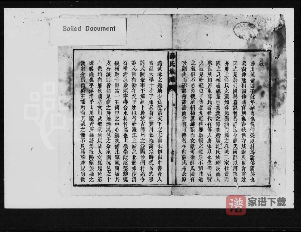 图片[2]-湖南益阳薛氏族谱PDF高清电子版下载-家谱下载