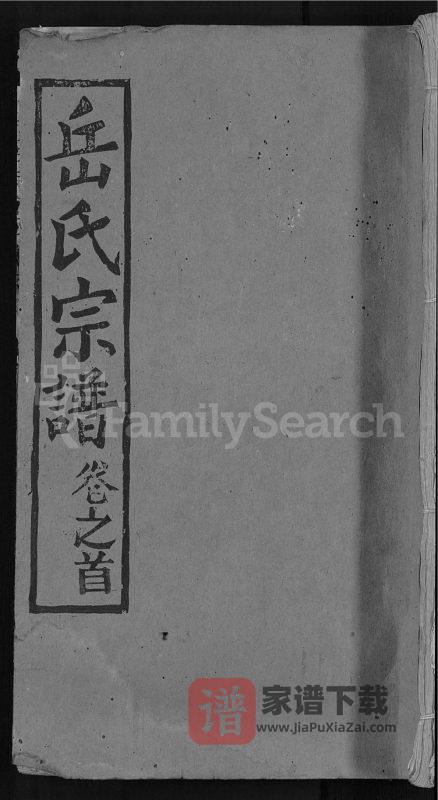 湖北武汉新洲区岳氏宗谱（忠武堂）PDF高清电子版下载-家谱下载
