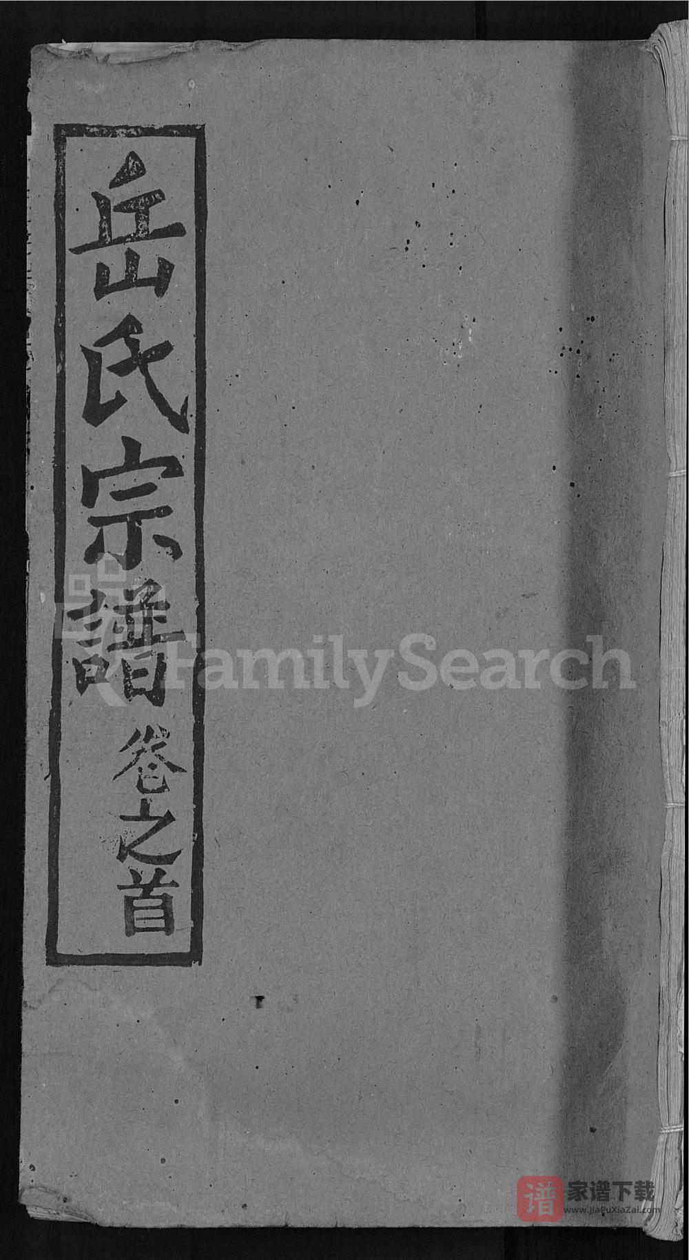 图片[1]-湖北武汉新洲区岳氏宗谱（忠武堂）PDF高清电子版下载-家谱下载
