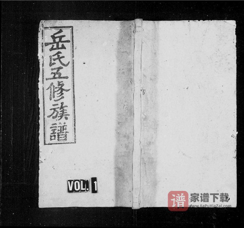 湖南邵阳岳氏五修族谱(敦本堂)PDF高清电子版下载-家谱下载