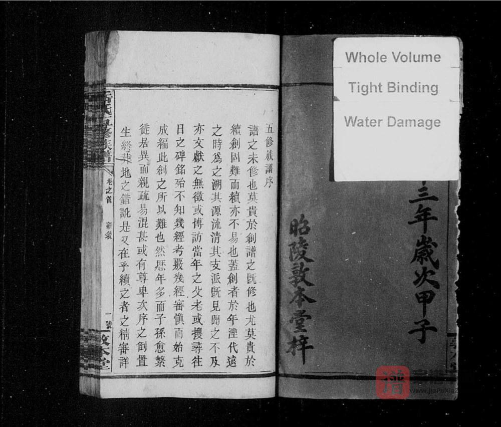 图片[2]-湖南邵阳岳氏五修族谱（敦本堂）PDF高清电子版下载-家谱下载
